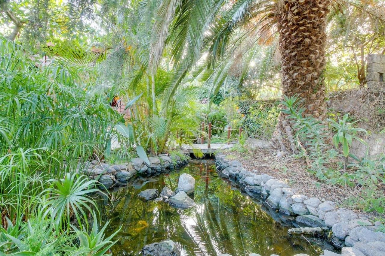 Villa Mimosa アラフォ エクステリア 写真